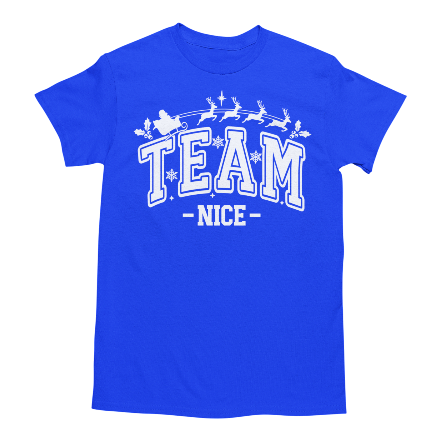 🎅 Team Nice / Team Naughty Christmas T-Shirts