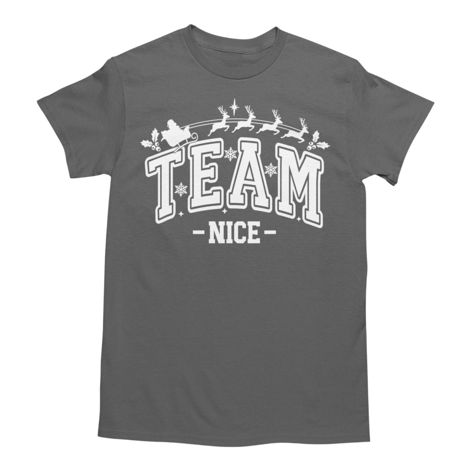 🎅 Team Nice / Team Naughty Christmas T-Shirts