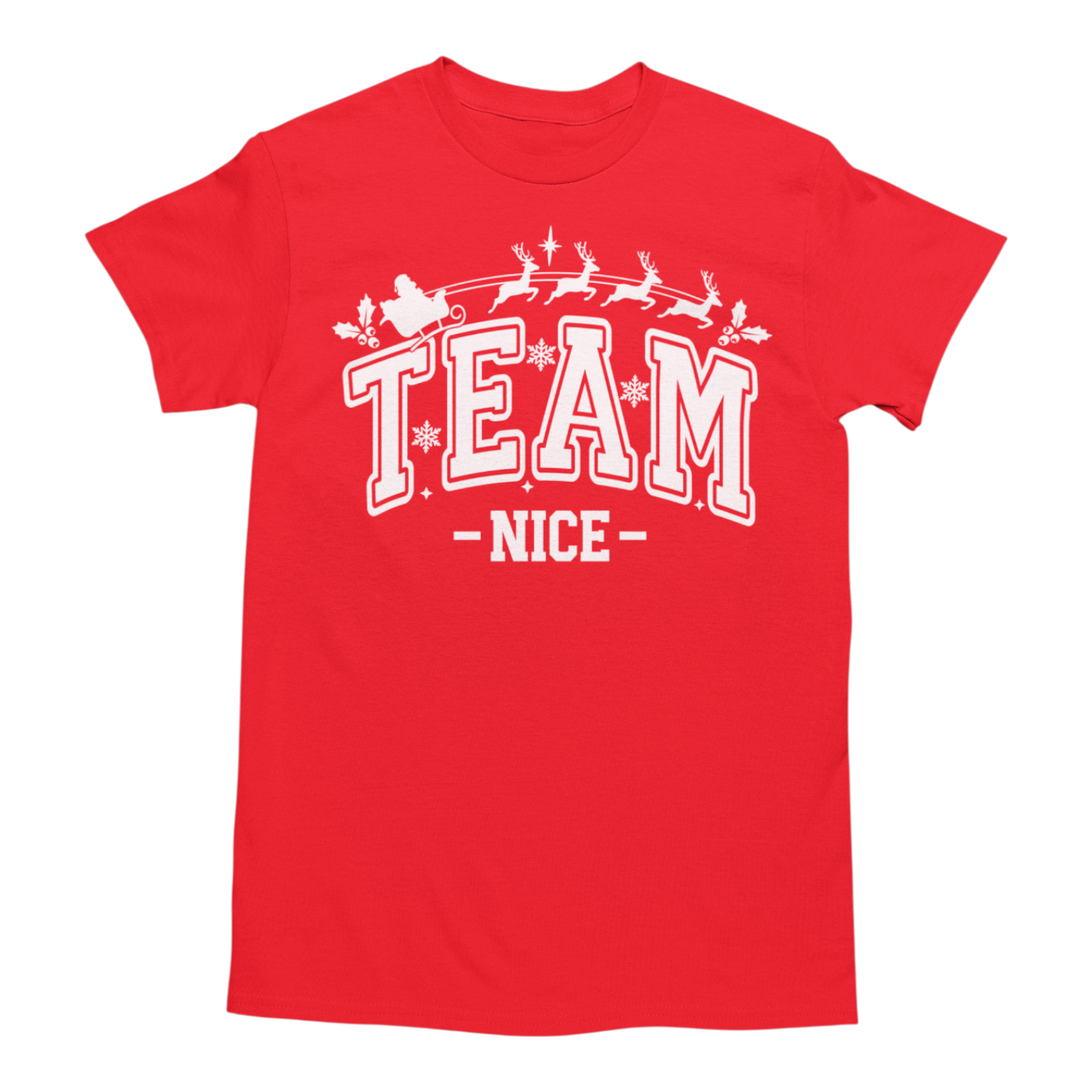 🎅 Team Nice / Team Naughty Christmas T-Shirts
