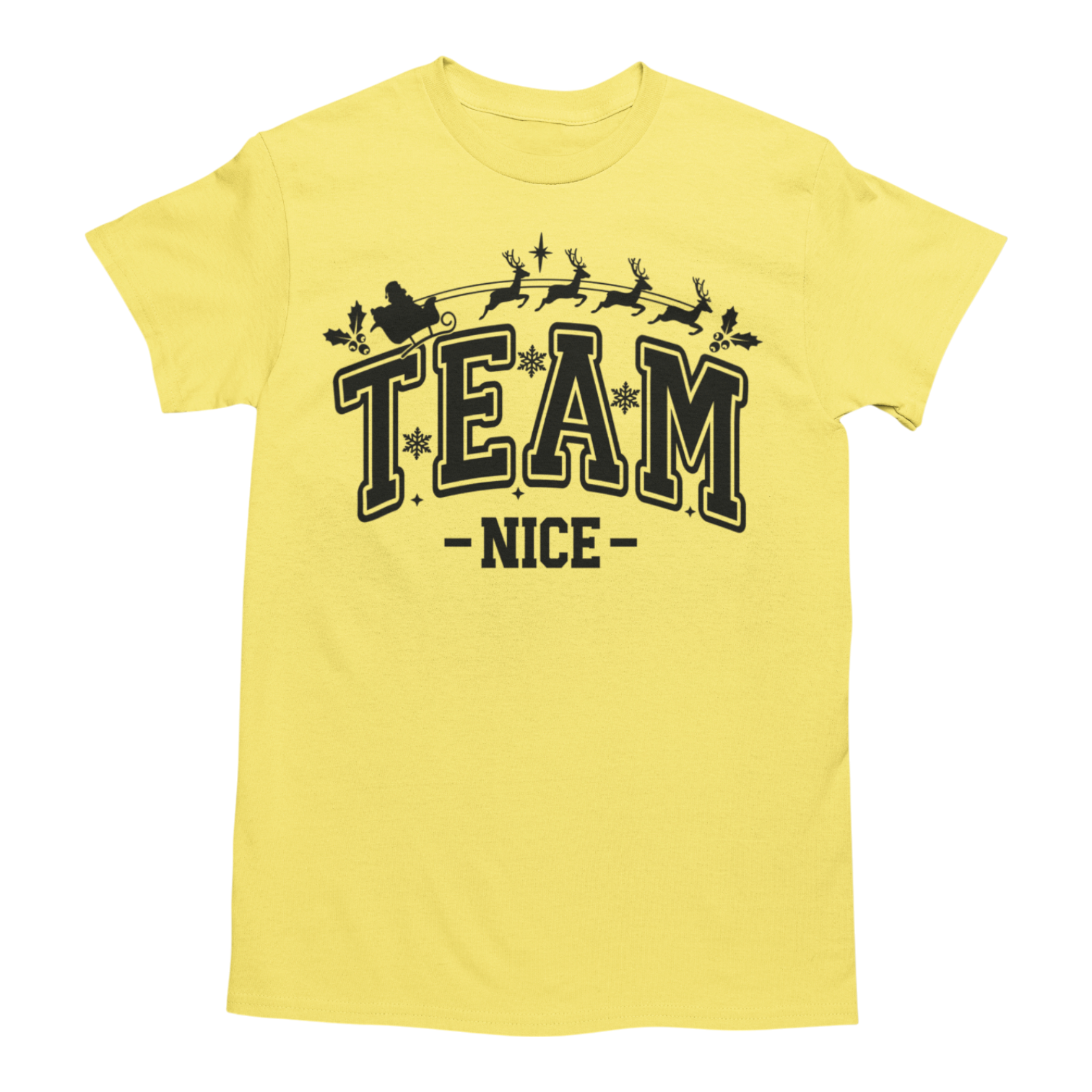 🎅 Team Nice / Team Naughty Christmas T-Shirts